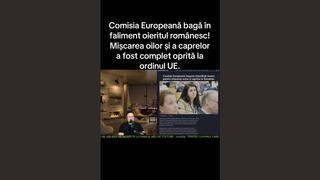 Fact Check: Uniunea Europeană NU a interzis creșterea oilor în România pentru a favoriza importurile de carne